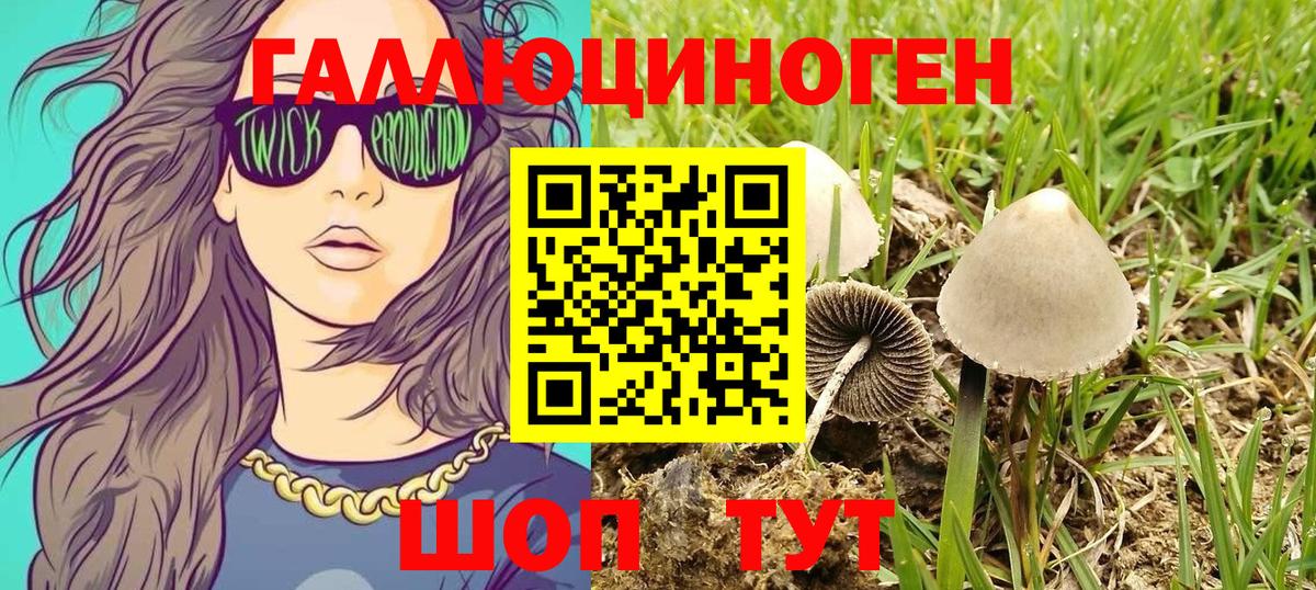 Галлюциногенные грибы MAGIC MUSHROOMS Кингисепп