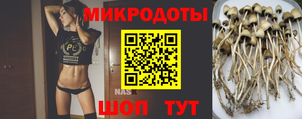 Галлюциногенные грибы Magic Shrooms  Галлюциногенные грибы мицелий  цены   Вход с VPN  Кингисепп 