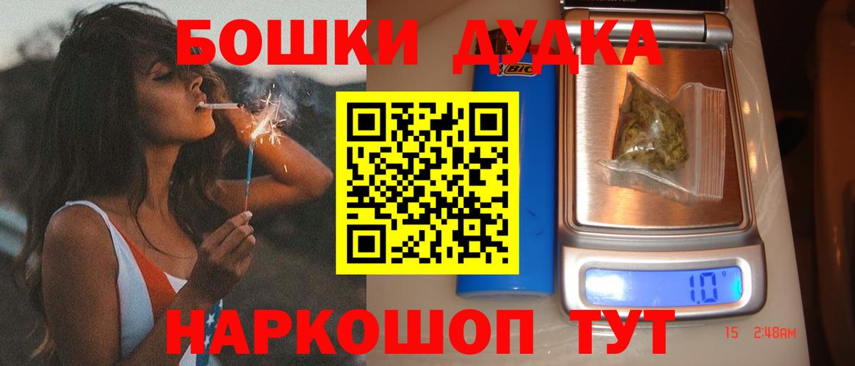 Каннабис сатива Кингисепп